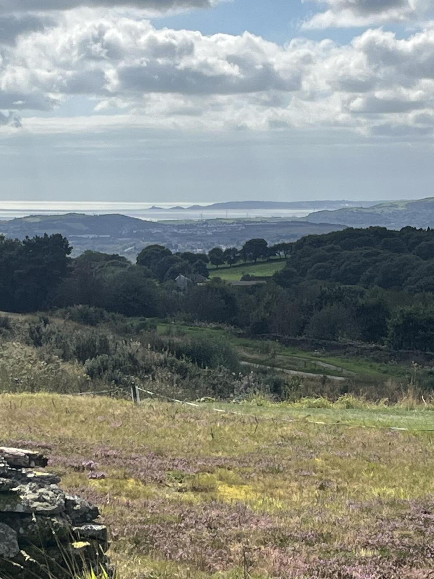 (Photo submitted by Andyjan2002 on 09/04/2024)